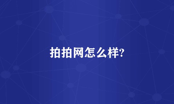 拍拍网怎么样?