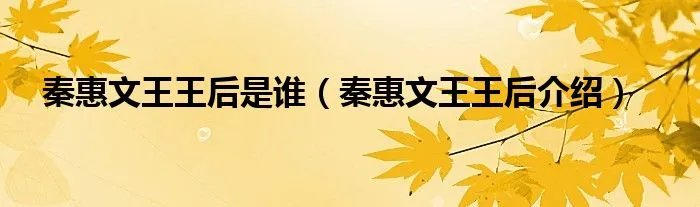 秦惠文王王后是谁（秦惠文王王后介绍）