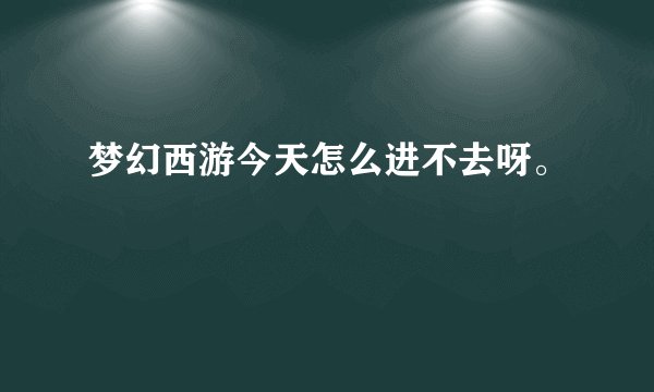 梦幻西游今天怎么进不去呀。