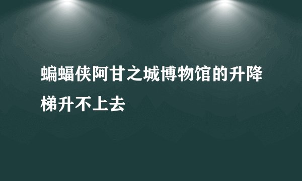 蝙蝠侠阿甘之城博物馆的升降梯升不上去