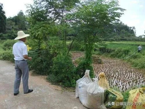 怎么用土法丈量不规则的田土面积?
