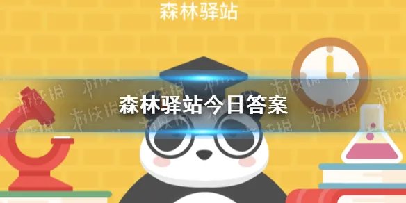 以下大熊猫主要分布山系拥有野生大熊猫最多的是哪一个 森林驿站今日答案8月16日