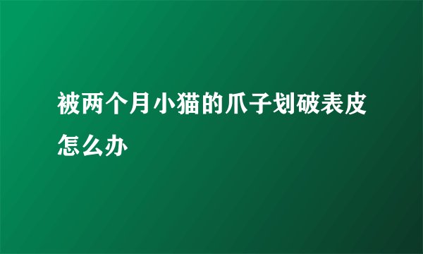 被两个月小猫的爪子划破表皮怎么办