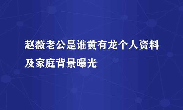 赵薇老公是谁黄有龙个人资料及家庭背景曝光