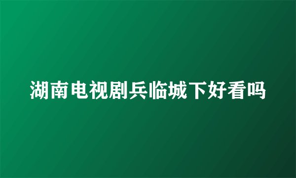 湖南电视剧兵临城下好看吗