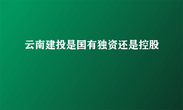 云南建投是国有独资还是控股
