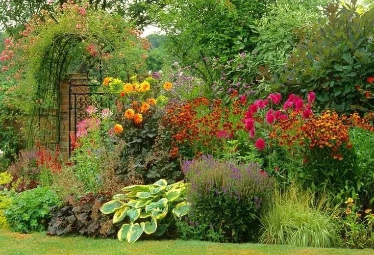 原创:花境按植物材料的分类及各自优缺点