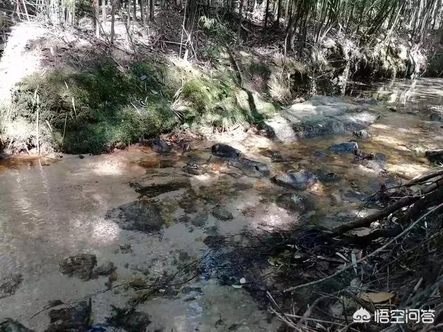 广东省从化市石门国家森林公园好玩吗?从广州市区怎么去?