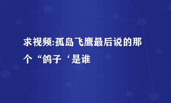 求视频:孤岛飞鹰最后说的那个“鸽子‘是谁