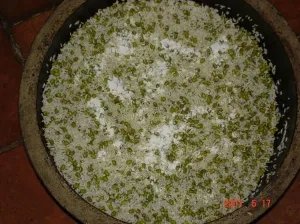 硼砂粽的词语解析