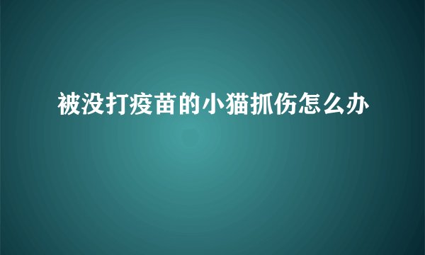 被没打疫苗的小猫抓伤怎么办