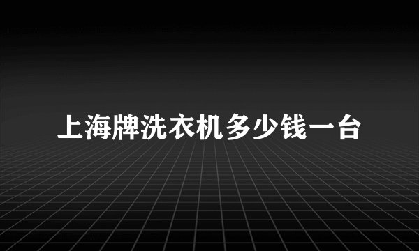 上海牌洗衣机多少钱一台
