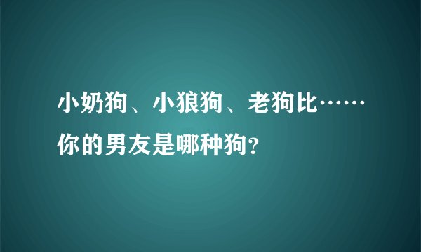 小奶狗、小狼狗、老狗比……你的男友是哪种狗？
