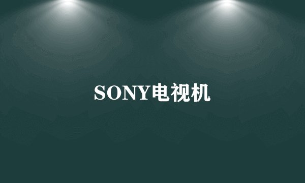 SONY电视机
