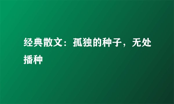 经典散文：孤独的种子，无处播种