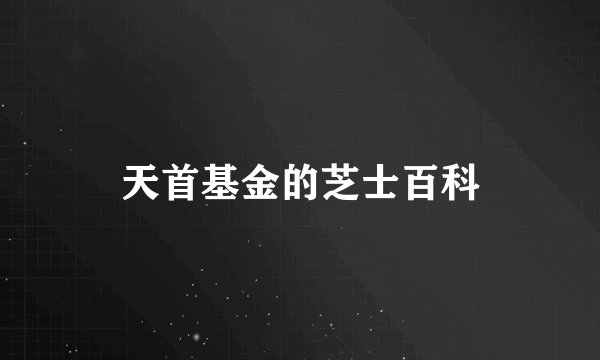 天首基金的芝士百科