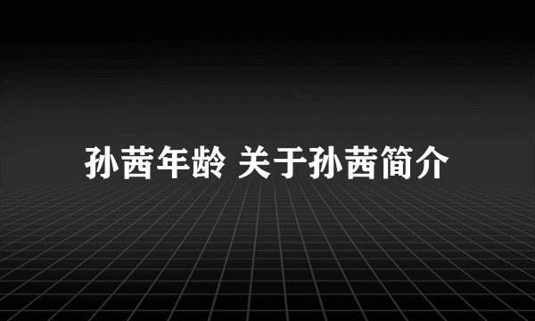 孙茜年龄 关于孙茜简介