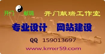 我想做网站