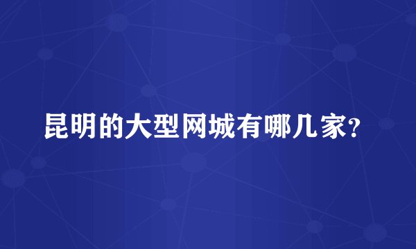 昆明的大型网城有哪几家?