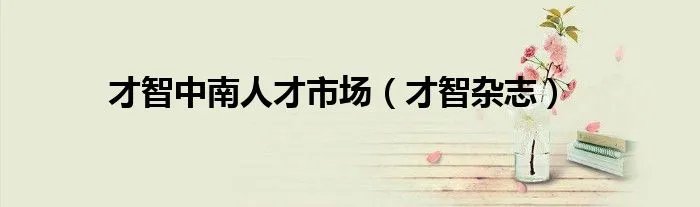 才智中南人才市场（才智杂志）