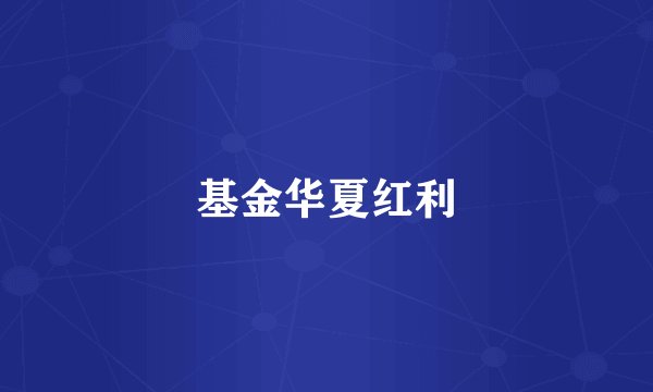 基金华夏红利
