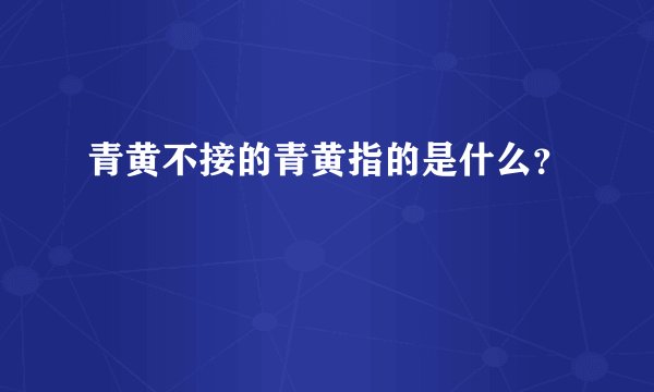 青黄不接的青黄指的是什么？