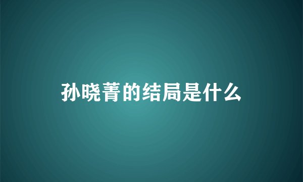孙晓菁的结局是什么