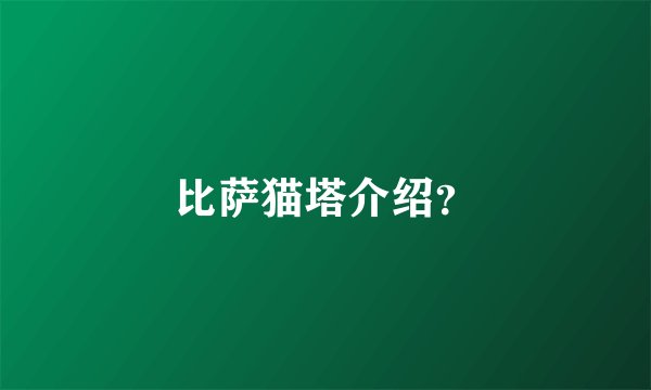 比萨猫塔介绍？