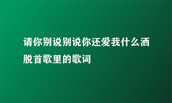 请你别说别说你还爱我什么洒脱首歌里的歌词