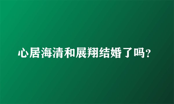 心居海清和展翔结婚了吗?