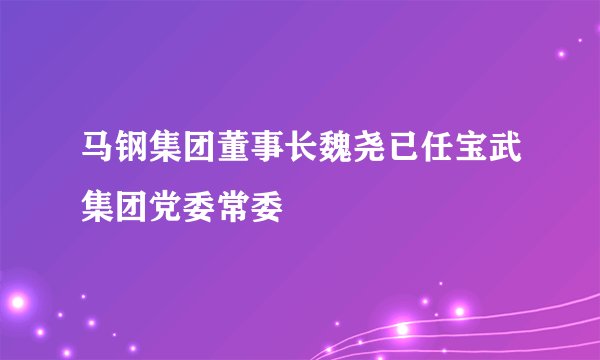 马钢集团董事长魏尧已任宝武集团党委常委