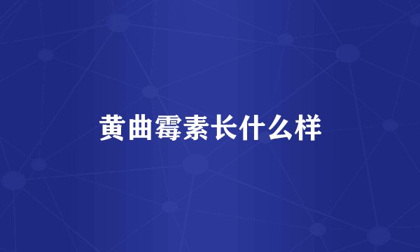 黄曲霉素长什么样