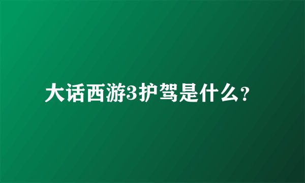 大话西游3护驾是什么？