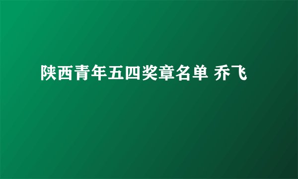 陕西青年五四奖章名单 乔飞