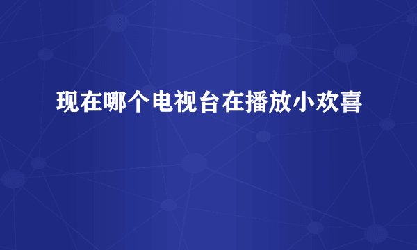现在哪个电视台在播放小欢喜