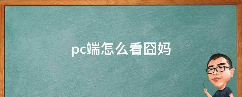 pc端怎么看囧妈