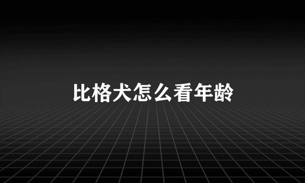 比格犬怎么看年龄