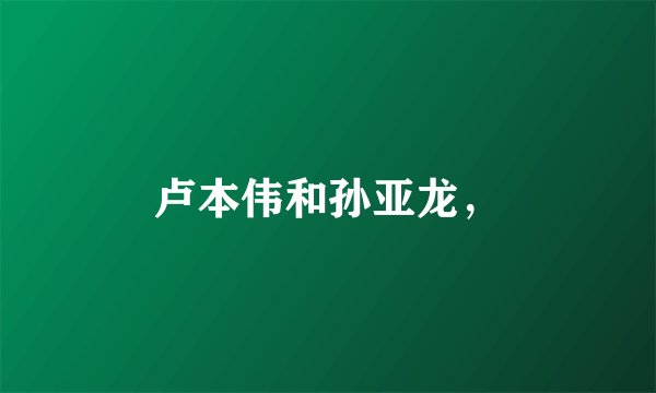 卢本伟和孙亚龙，