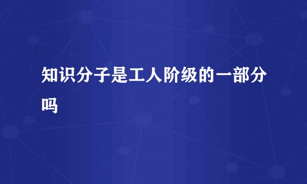 知识分子是工人阶级的一部分吗