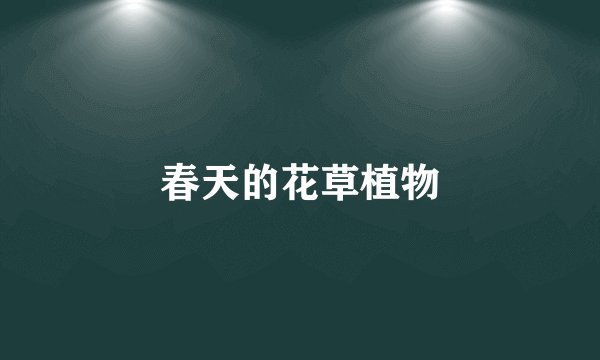 春天的花草植物