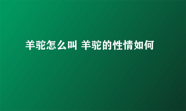 羊驼怎么叫 羊驼的性情如何