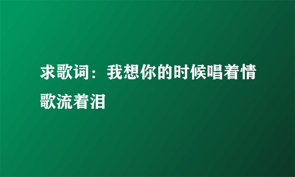 求歌词：我想你的时候唱着情歌流着泪