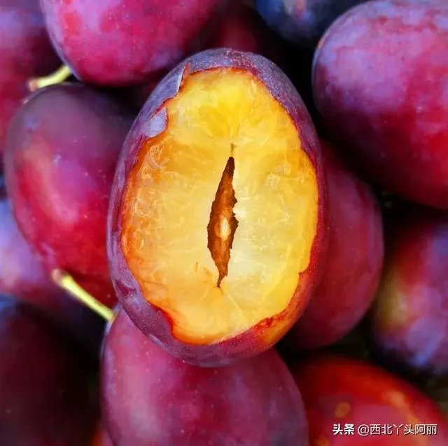 智利西梅好还是澳洲西梅好？