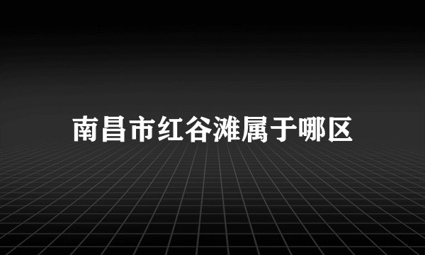 南昌市红谷滩属于哪区