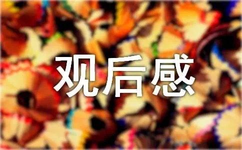 《花木兰》观后感 