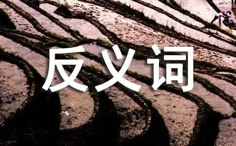 滑稽的反义词