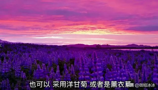 新鲜花如何自己提取纯露？