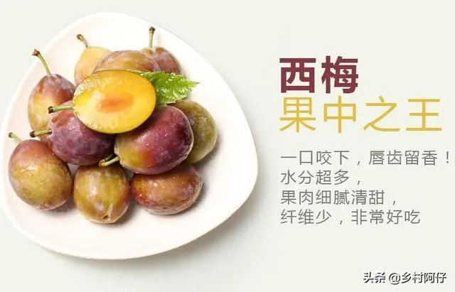 智利西梅好还是澳洲西梅好？