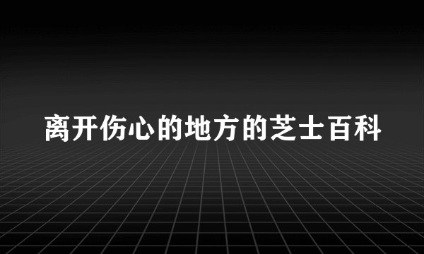 离开伤心的地方的芝士百科