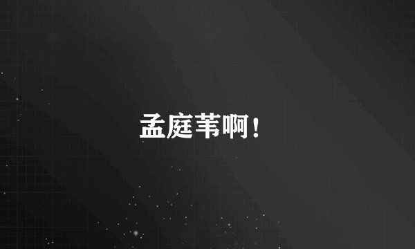 孟庭苇啊！